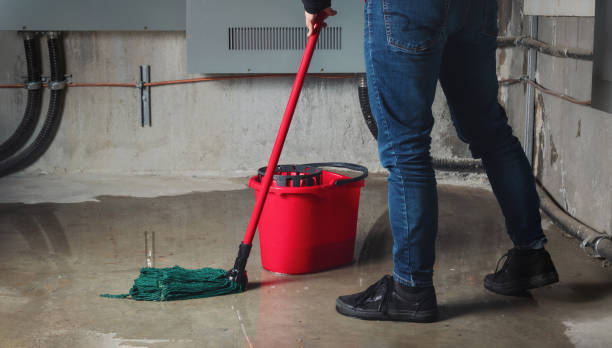 Best Water damage restoration near me  in Aurora, MO