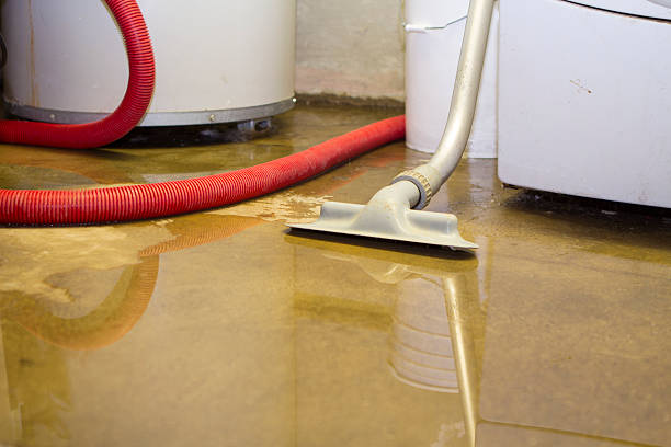 Best Carpet water damage restoration  in Aurora, MO