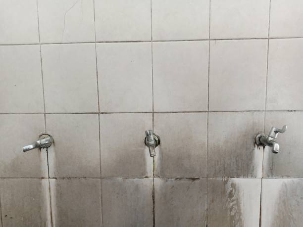 Best Local water damage restoration  in Aurora, MO