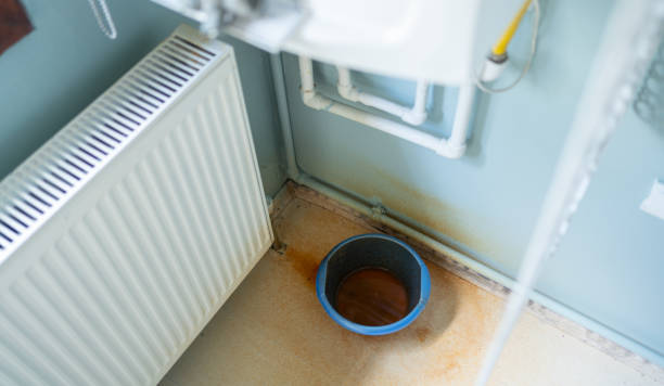 Best Mold removal after water damage  in Aurora, MO