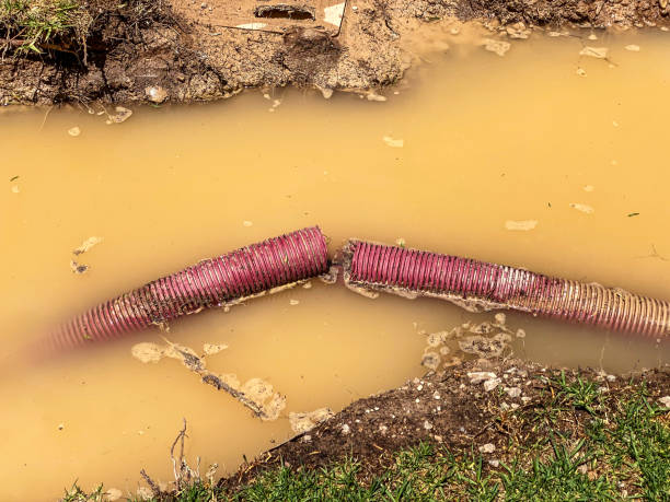 Best Residential water damage restoration  in Aurora, MO