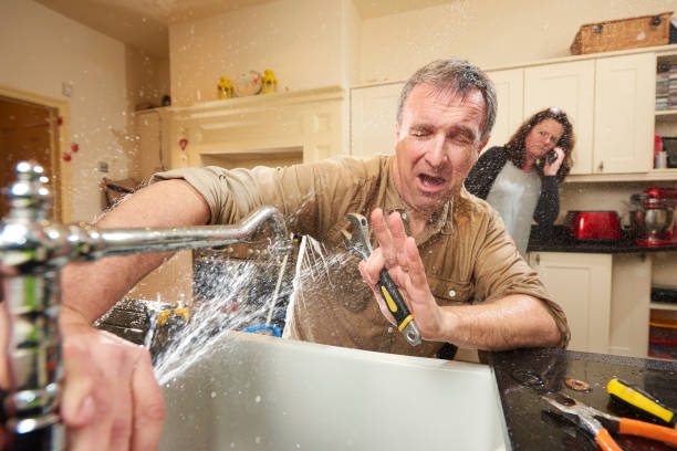Best Basement water damage restoration  in Aurora, MO
